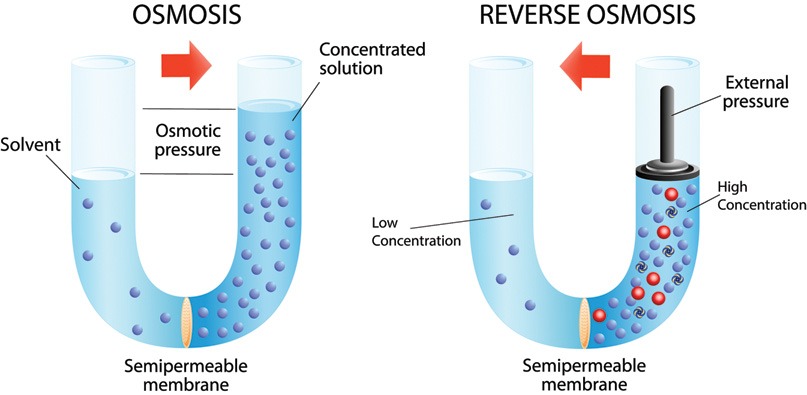 Introduction to Membrane Separations WCP Online