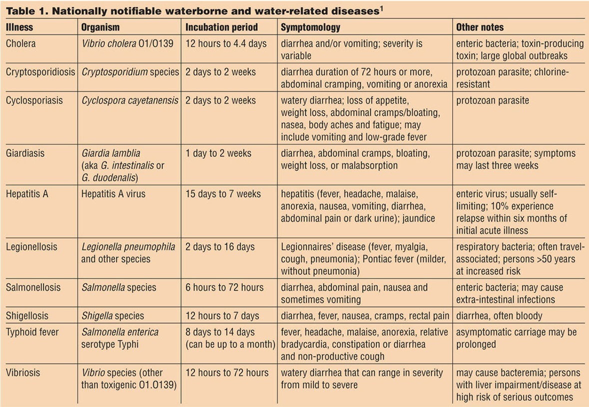 from-exposure-to-illness-what-happens-if-you-drink-contaminated-water